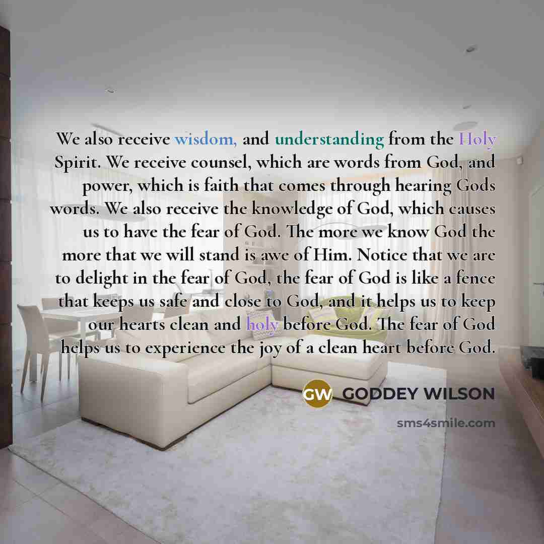 “We also receive wisdom, and understanding from the Holy Spirit. We receive counsel, which are words from God, and power, which is faith that comes through hearing Gods words. We also receive the knowledge of God, which causes us to have the fear of God. The more we know God the more that we will…” quote by GODDEY WILSON