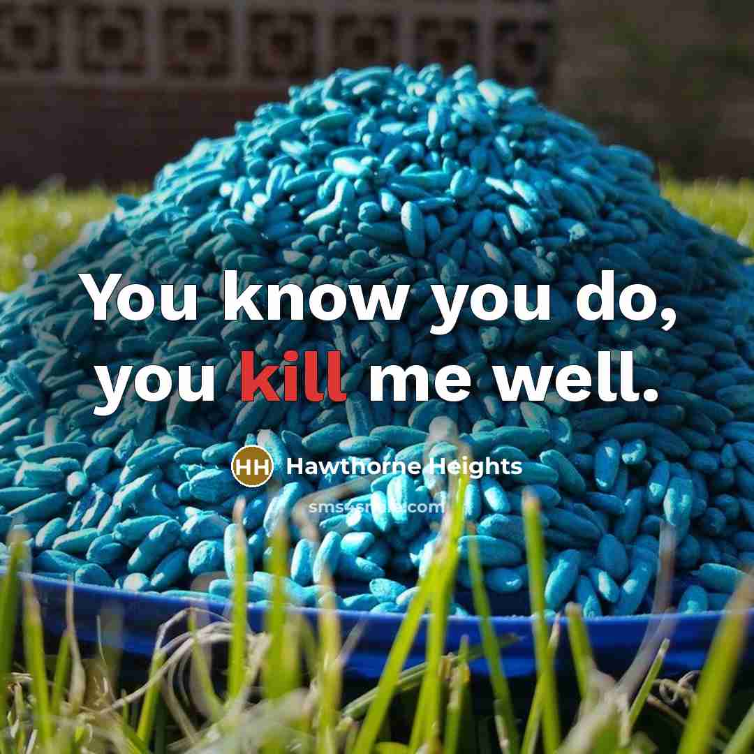 “You know you do, you kill me well.” quote by Hawthorne Heights