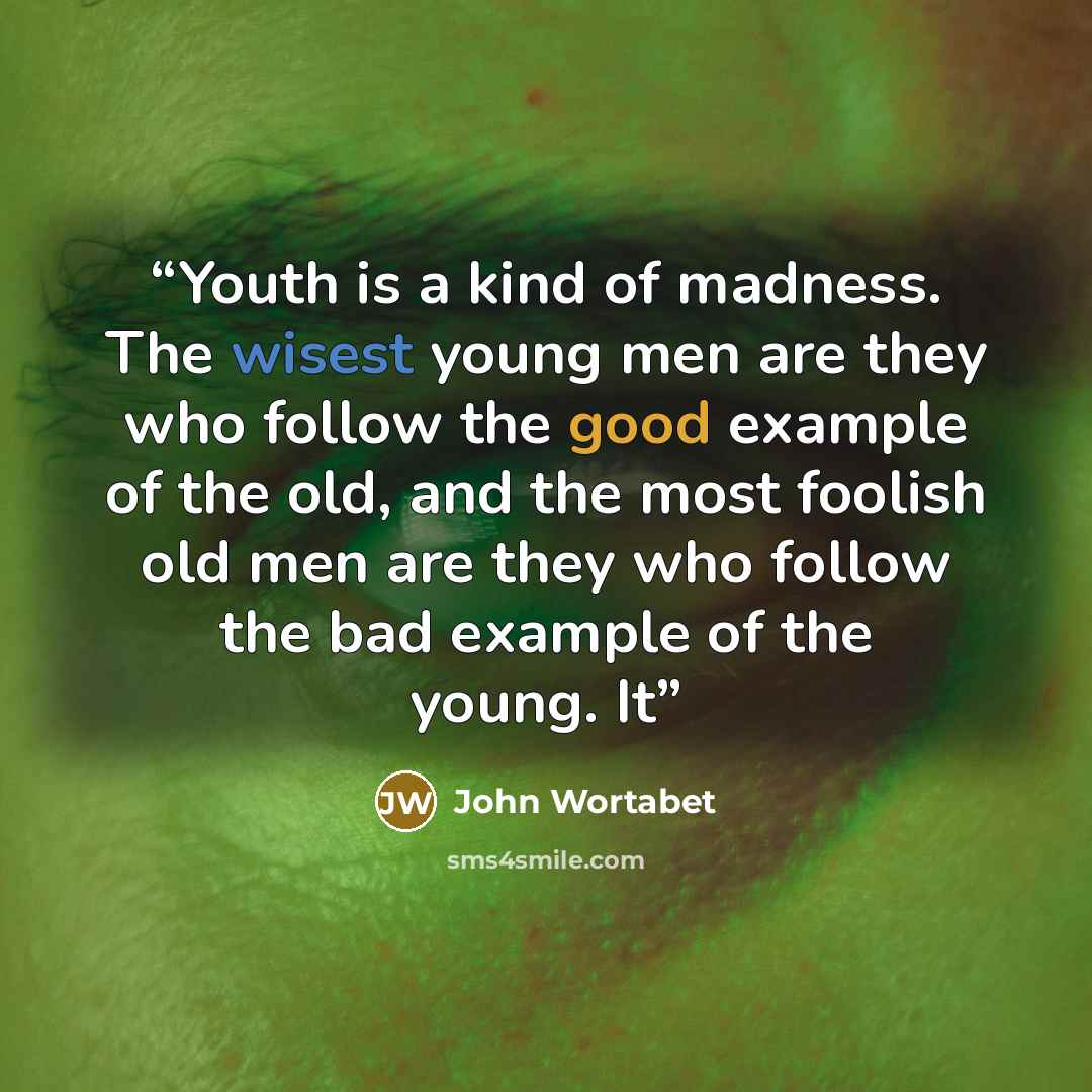 “Youth is a kind of madness. The wisest young men are they who follow the good example of the old, and the most foolish old men are they who follow the bad example of the young. It” quote by John Wortabet