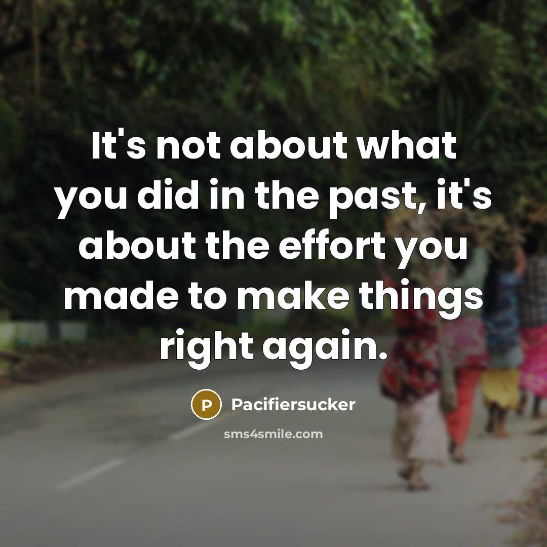 “It's not about what you did in the past, it's about the effort you made to make things right again.” quote by Pacifiersucker