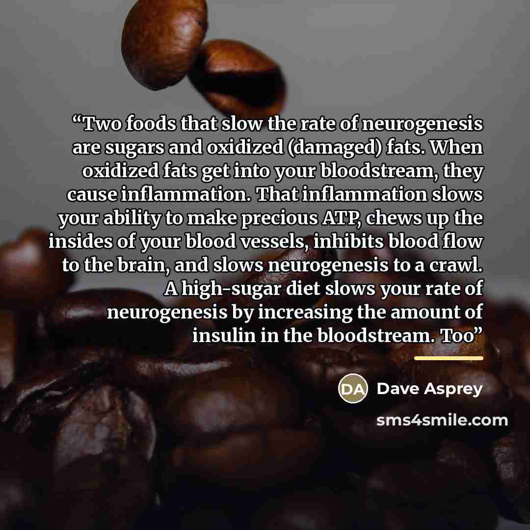 “Two foods that slow the rate of neurogenesis are sugars and oxidized (damaged) fats. When oxidized fats get into your bloodstream, they cause inflammation. That inflammation slows your ability to make precious ATP, chews up the insides of your blood vessels, inhibits blood flow to the brain, and…” quote by Dave Asprey