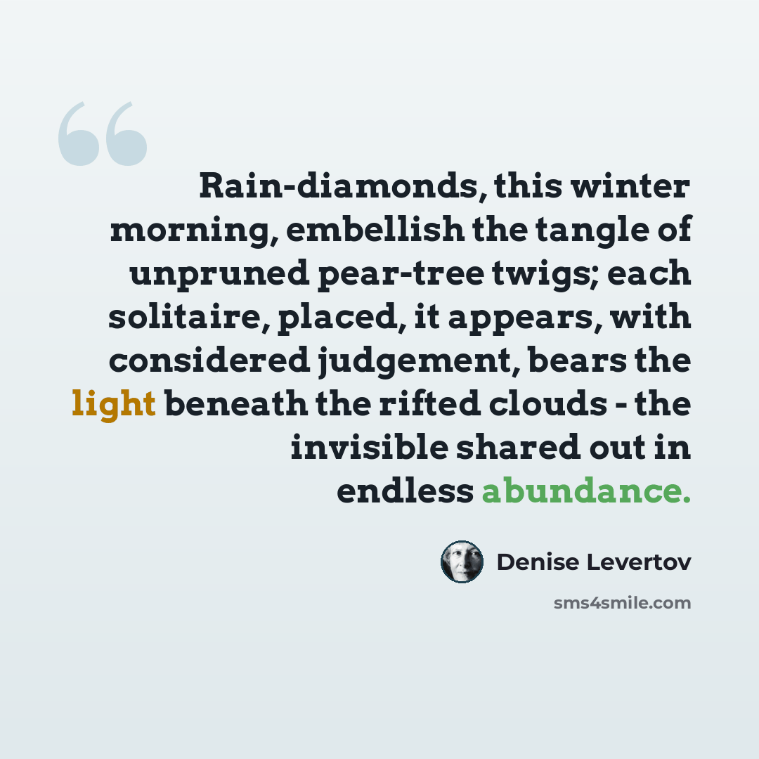 “Rain-diamonds, this winter morning, embellish the tangle of unpruned pear-tree twigs; each solitaire, placed, it appears, with considered judgement, bears the light beneath the rifted clouds - the invisible shared out in endless abundance.” quote by Denise Levertov