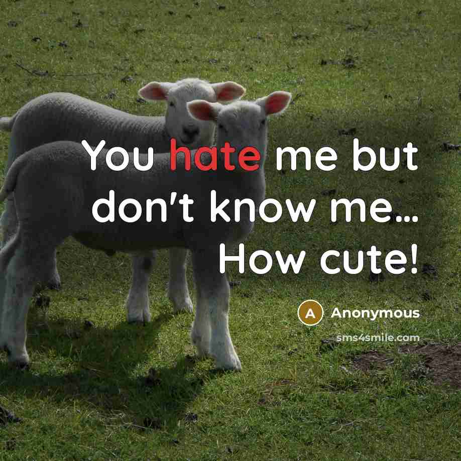 “You hate me but don't know me… How cute!” quote by Anonymous
