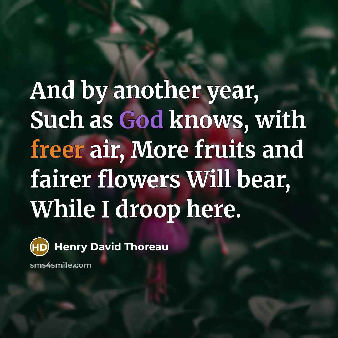 “And by another year, Such as God knows, with freer air, More fruits and fairer flowers Will bear, While I droop here.” quote by Henry David Thoreau