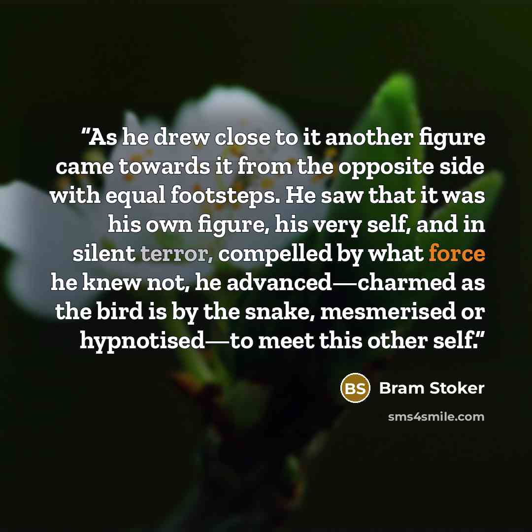 “As he drew close to it another figure came towards it from the opposite side with equal footsteps. He saw that it was his own figure, his very self, and in silent terror, compelled by what force he knew not, he advanced—charmed as the bird is by the snake, mesmerised or hypnotised—to meet this…” quote by Bram Stoker