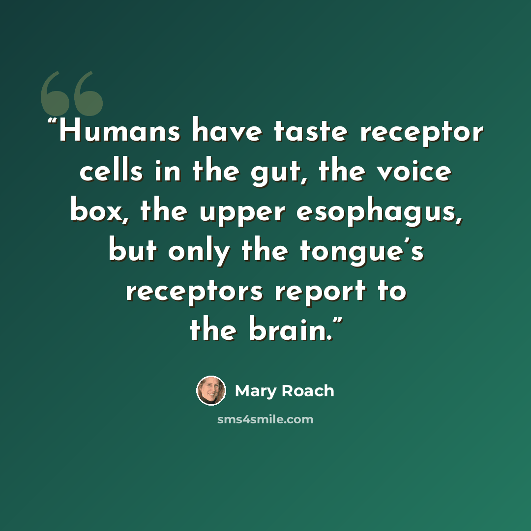 “Humans have taste receptor cells in the gut, the voice box, the upper esophagus, but only the tongue’s receptors report to the brain.” quote by Mary Roach