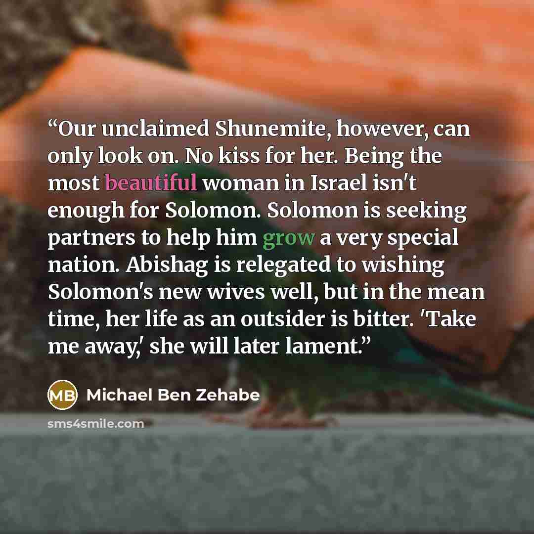 “Our unclaimed Shunemite, however, can only look on. No kiss for her. Being the most beautiful woman in Israel isn't enough for Solomon. Solomon is seeking partners to help him grow a very special nation. Abishag is relegated to wishing Solomon's new wives well, but in the mean time, her life as an…” quote by Michael Ben Zehabe