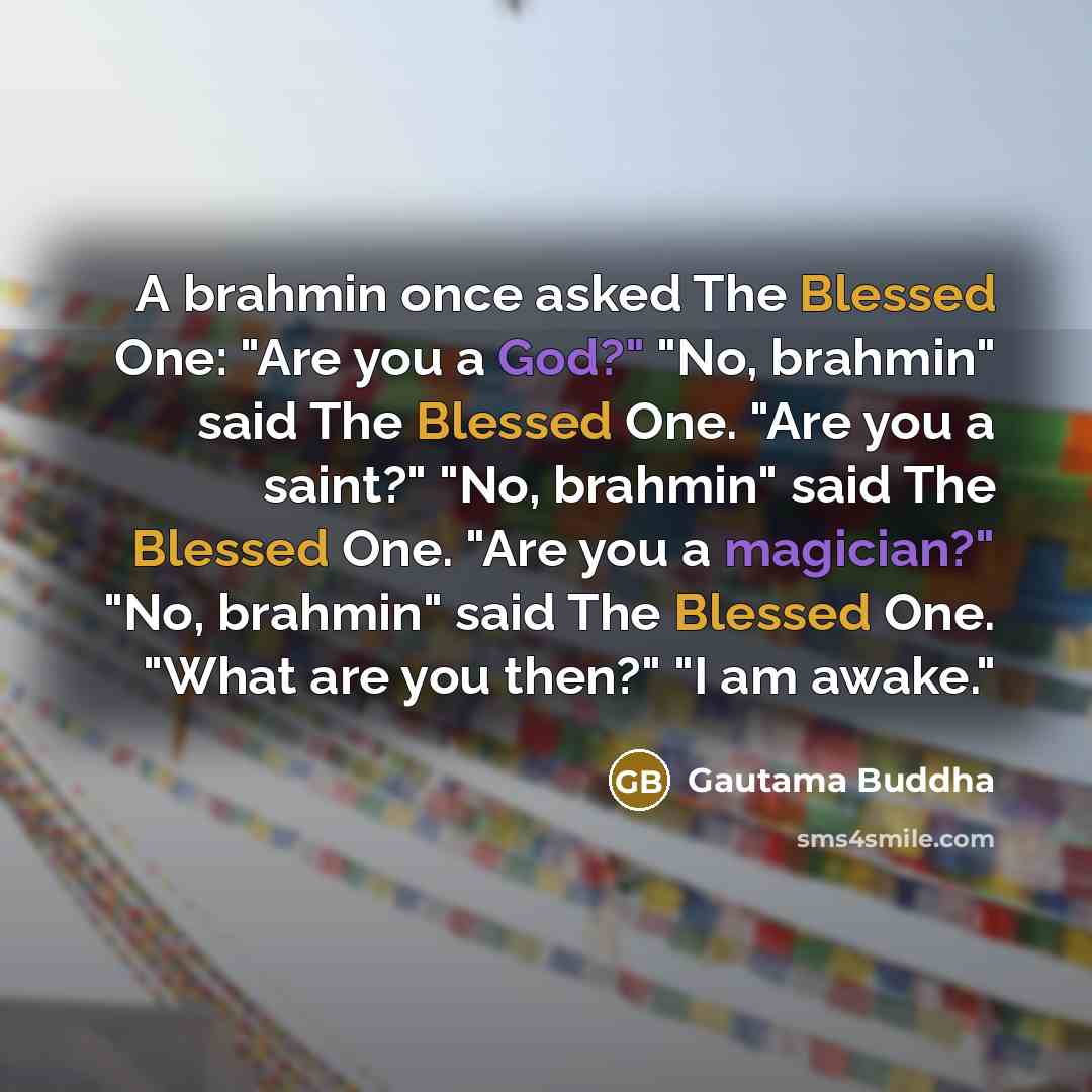 “A brahmin once asked The Blessed One: "Are you a God?" "No, brahmin" said The Blessed One. "Are you a saint?" "No, brahmin" said The Blessed One. "Are you a magician?" "No, brahmin" said The Blessed One. "What are you then?" "I am awake."” quote by Gautama Buddha