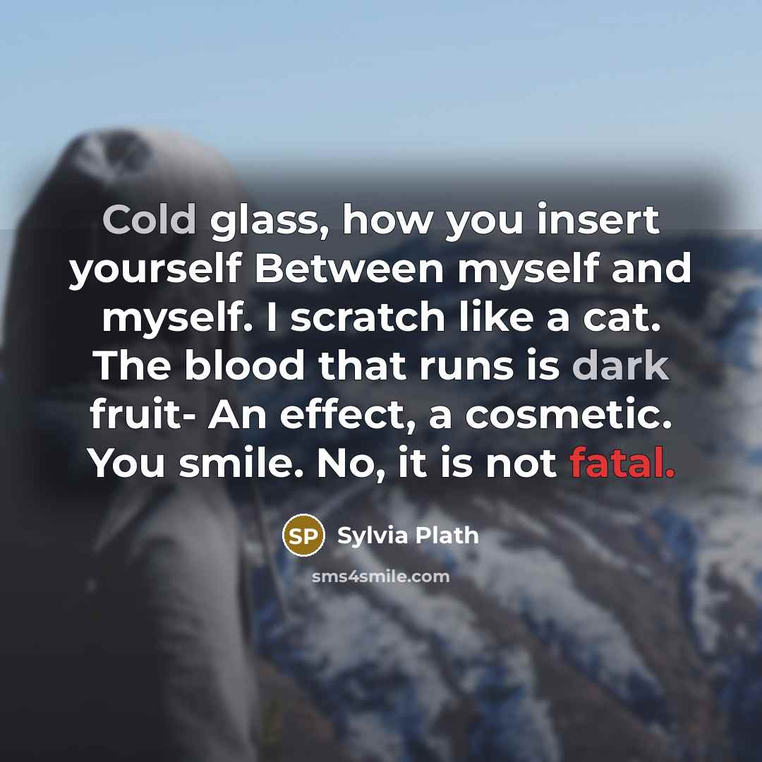 “Cold glass, how you insert yourself Between myself and myself. I scratch like a cat. The blood that runs is dark fruit- An effect, a cosmetic. You smile. No, it is not fatal.” quote by Sylvia Plath