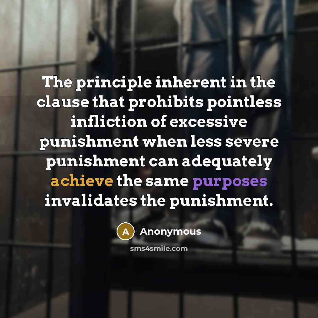 “The principle inherent in the clause that prohibits pointless infliction of excessive punishment when less severe punishment can adequately achieve the same purposes invalidates the punishment.” quote by Anonymous