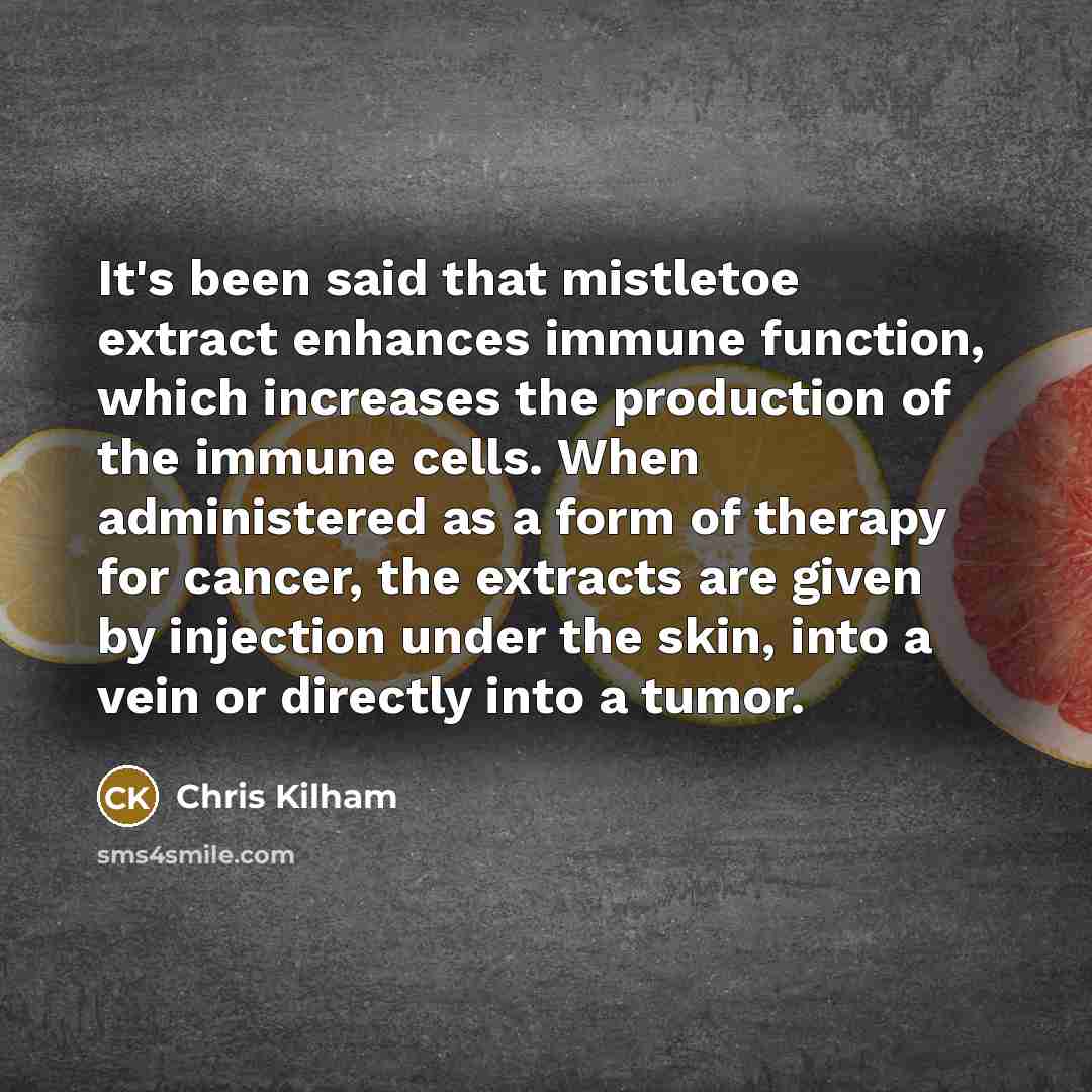 “It's been said that mistletoe extract enhances immune function, which increases the production of the immune cells. When administered as a form of therapy for cancer, the extracts are given by injection under the skin, into a vein or directly into a tumor.” quote by Chris Kilham