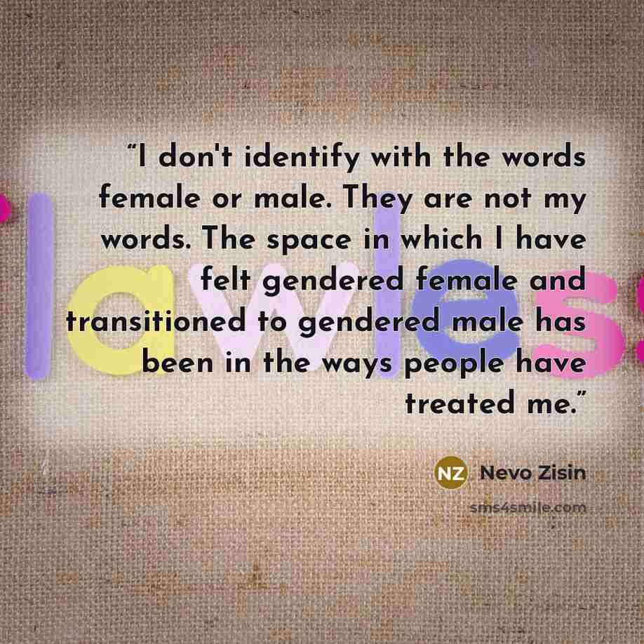 “I don't identify with the words female or male. They are not my words. The space in which I have felt gendered female and transitioned to gendered male has been in the ways people have treated me.” quote by Nevo Zisin
