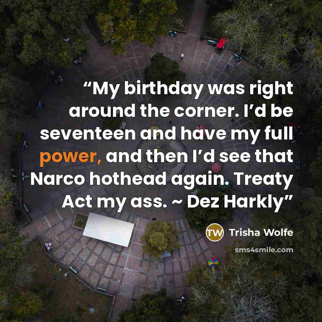 “My birthday was right around the corner. I’d be seventeen and have my full power, and then I’d see that Narco hothead again. Treaty Act my ass. ~ Dez Harkly” quote by Trisha Wolfe