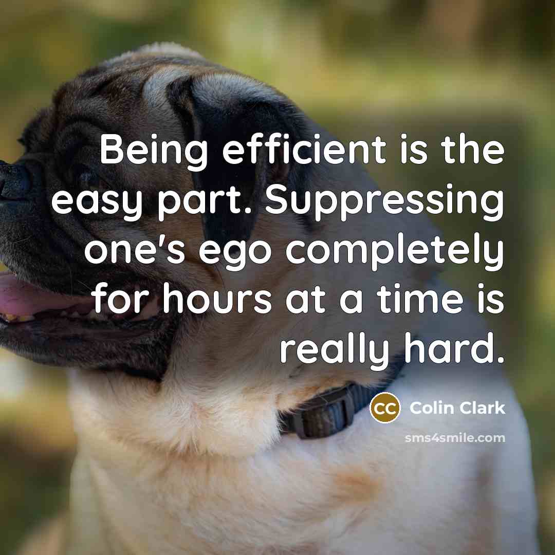 “Being efficient is the easy part. Suppressing one's ego completely for hours at a time is really hard.” quote by Colin Clark