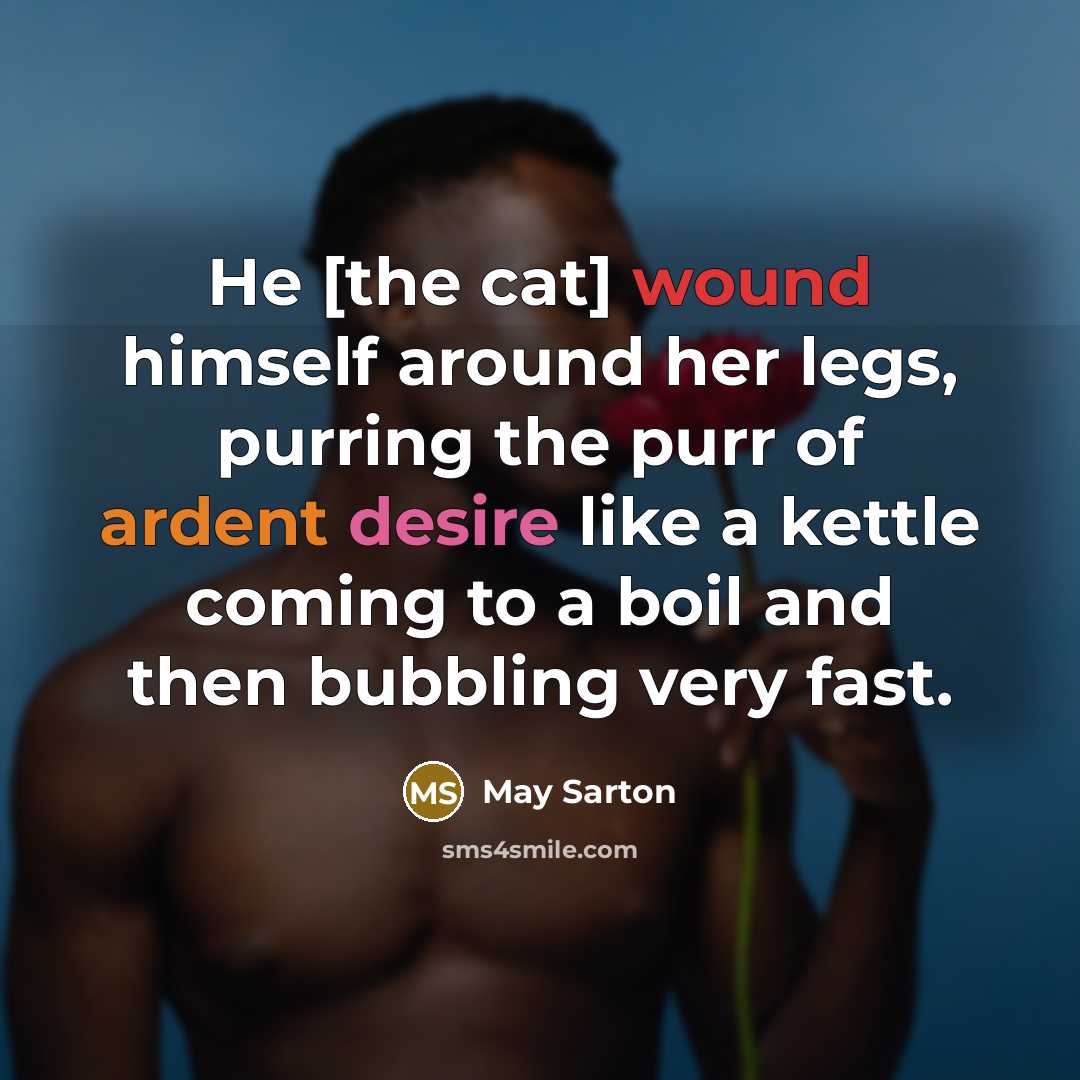 “He [the cat] wound himself around her legs, purring the purr of ardent desire like a kettle coming to a boil and then bubbling very fast.” quote by May Sarton