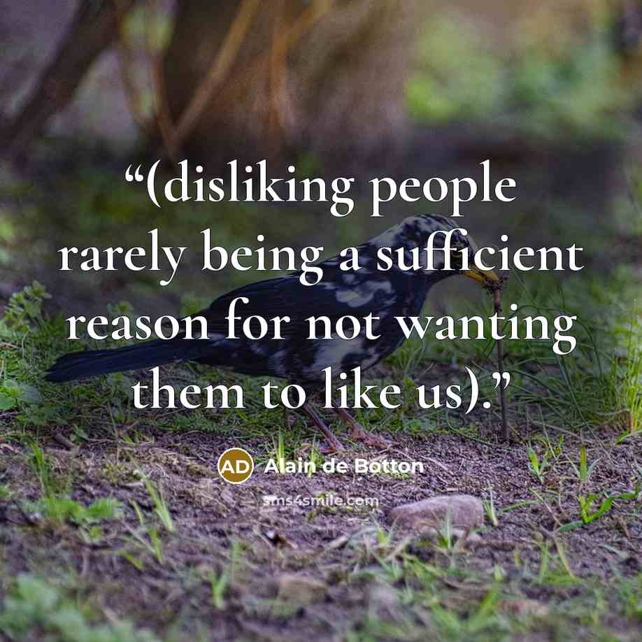 “(disliking people rarely being a sufficient reason for not wanting them to like us).” quote by Alain de Botton