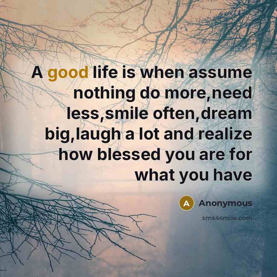 “A good life is when assume nothing do more,need less,smile often,dream big,laugh a lot and realize how blessed you are for what you have” quote by Anonymous