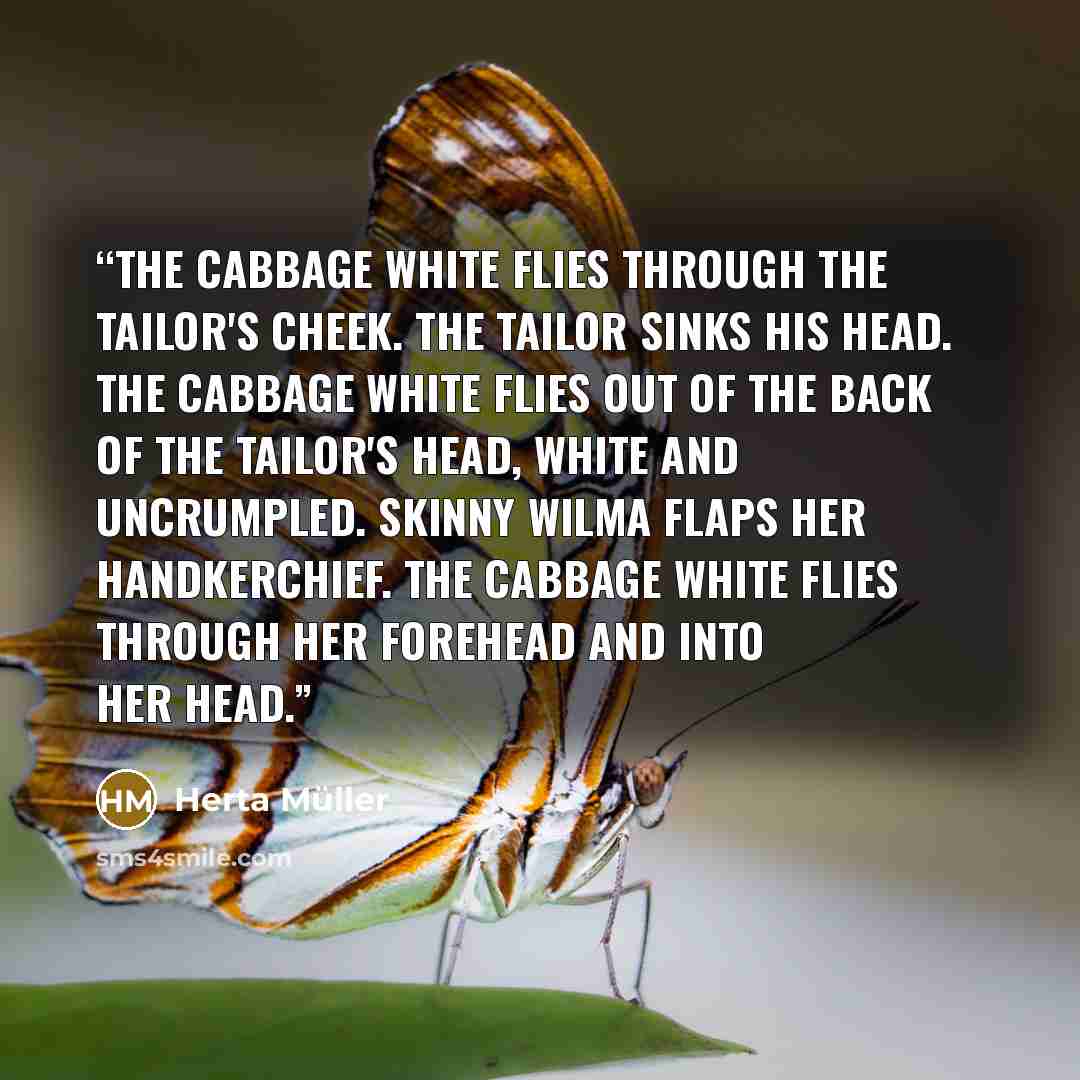“The cabbage white flies through the tailor's cheek. The tailor sinks his head. The cabbage white flies out of the back of the tailor's head, white and uncrumpled. Skinny Wilma flaps her handkerchief. The cabbage white flies through her forehead and into her head.” quote by Herta Müller