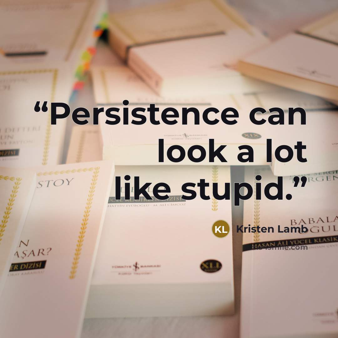 “Persistence can look a lot like stupid.” quote by Kristen Lamb