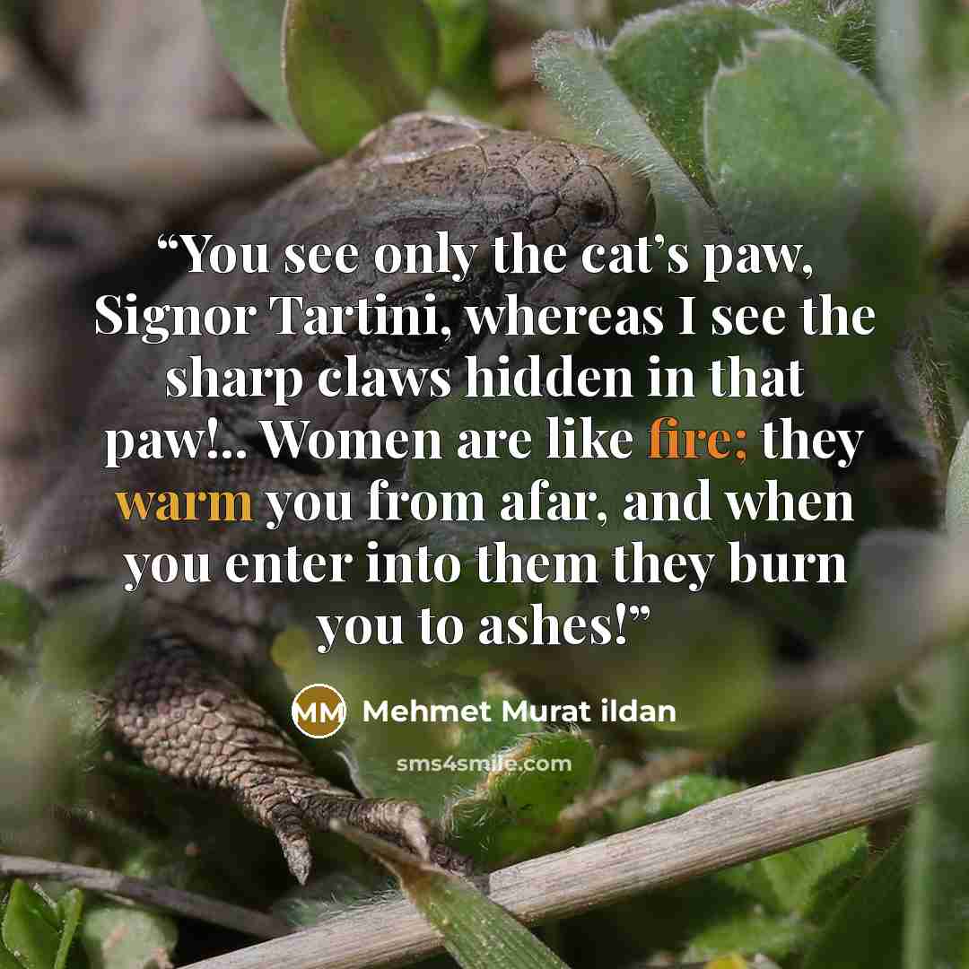 “You see only the cat’s paw, Signor Tartini, whereas I see the sharp claws hidden in that paw!.. Women are like fire; they warm you from afar, and when you enter into them they burn you to ashes!” quote by Mehmet Murat ildan