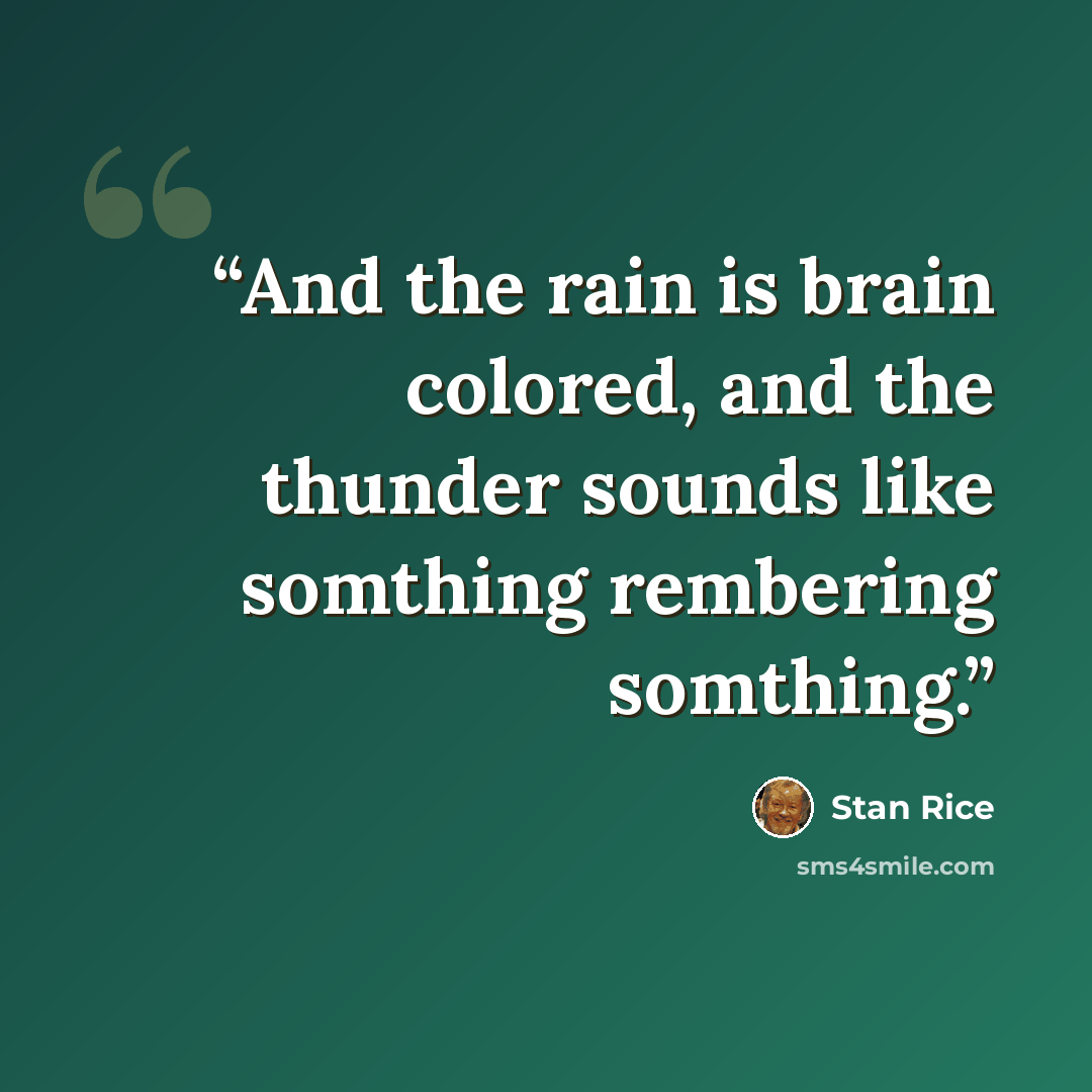 “And the rain is brain colored, and the thunder sounds like somthing rembering somthing.” quote by Stan Rice