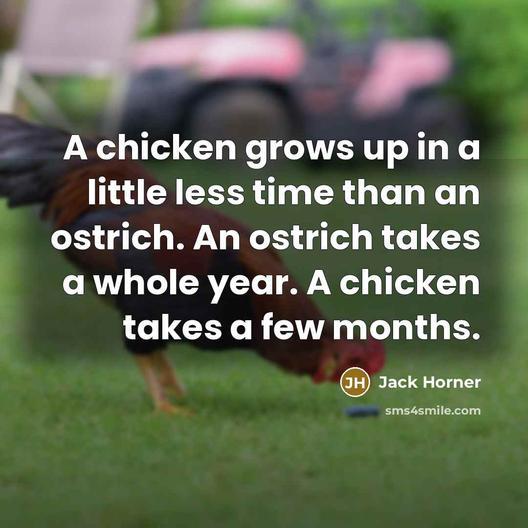 “A chicken grows up in a little less time than an ostrich. An ostrich takes a whole year. A chicken takes a few months.” quote by Jack Horner