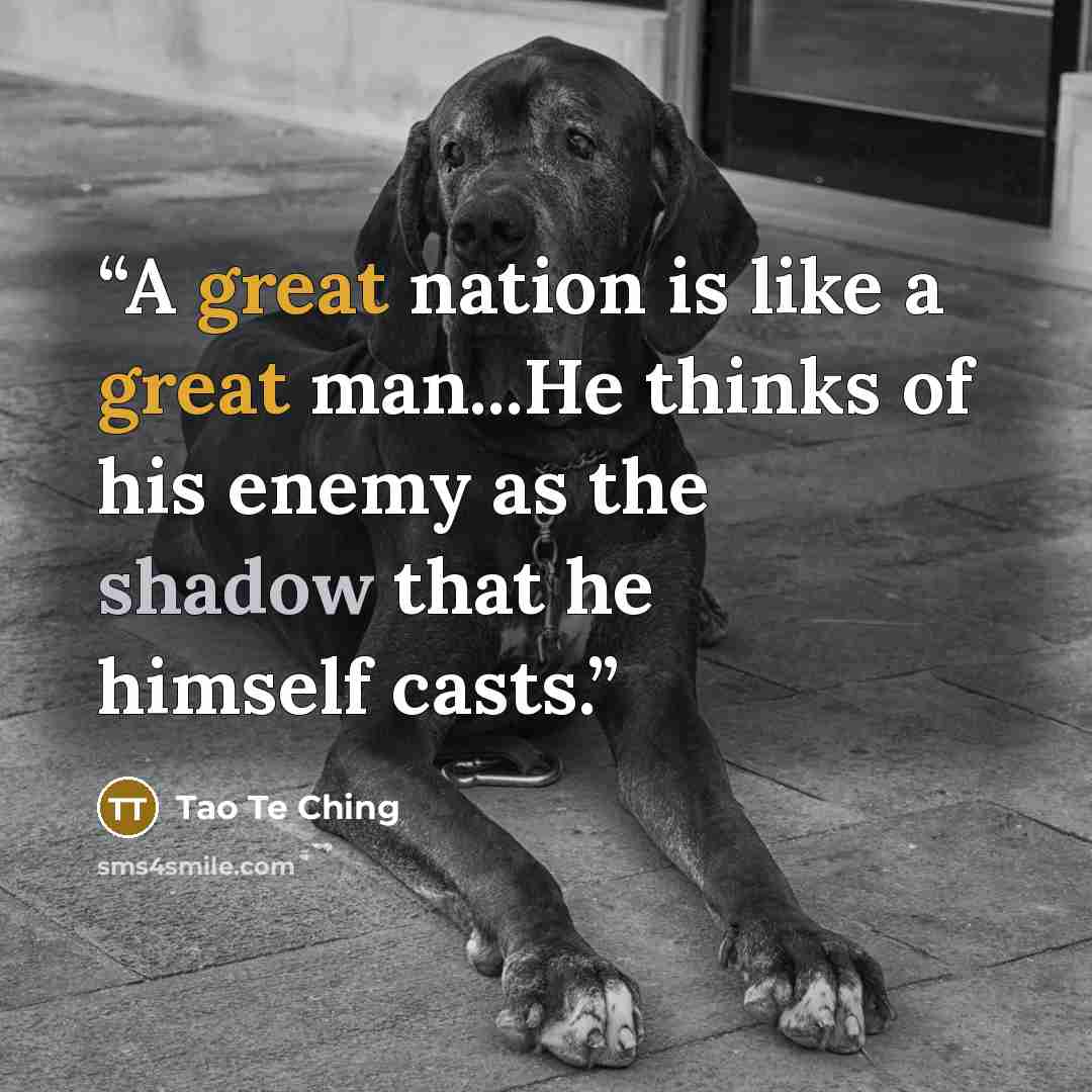 “A great nation is like a great man...He thinks of his enemy as the shadow that he himself casts.” quote by Tao Te Ching