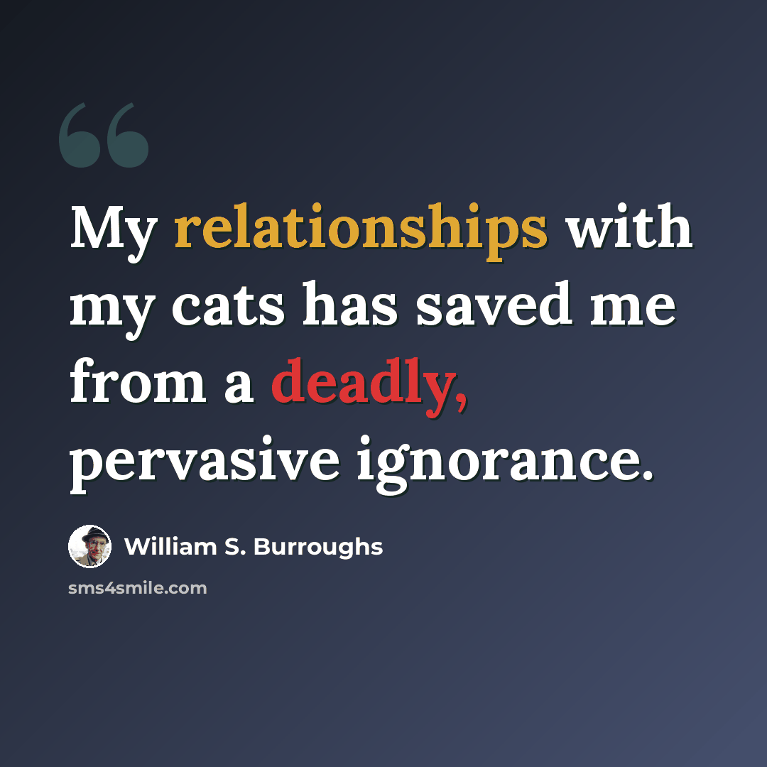 “My relationships with my cats has saved me from a deadly, pervasive ignorance.” quote by William S. Burroughs