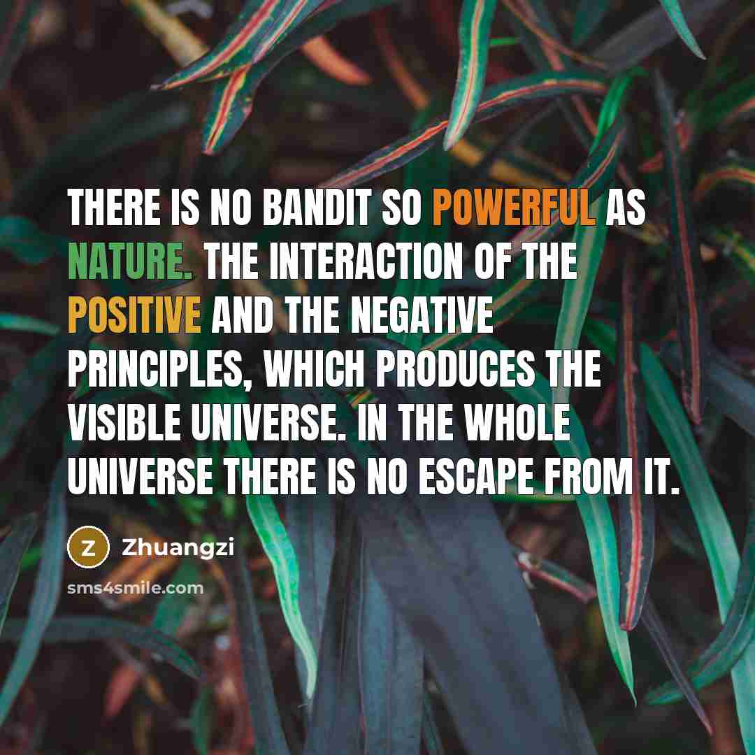“There is no bandit so powerful as Nature. The interaction of the positive and the negative principles, which produces the visible universe. In the whole universe there is no escape from it.” quote by Zhuangzi
