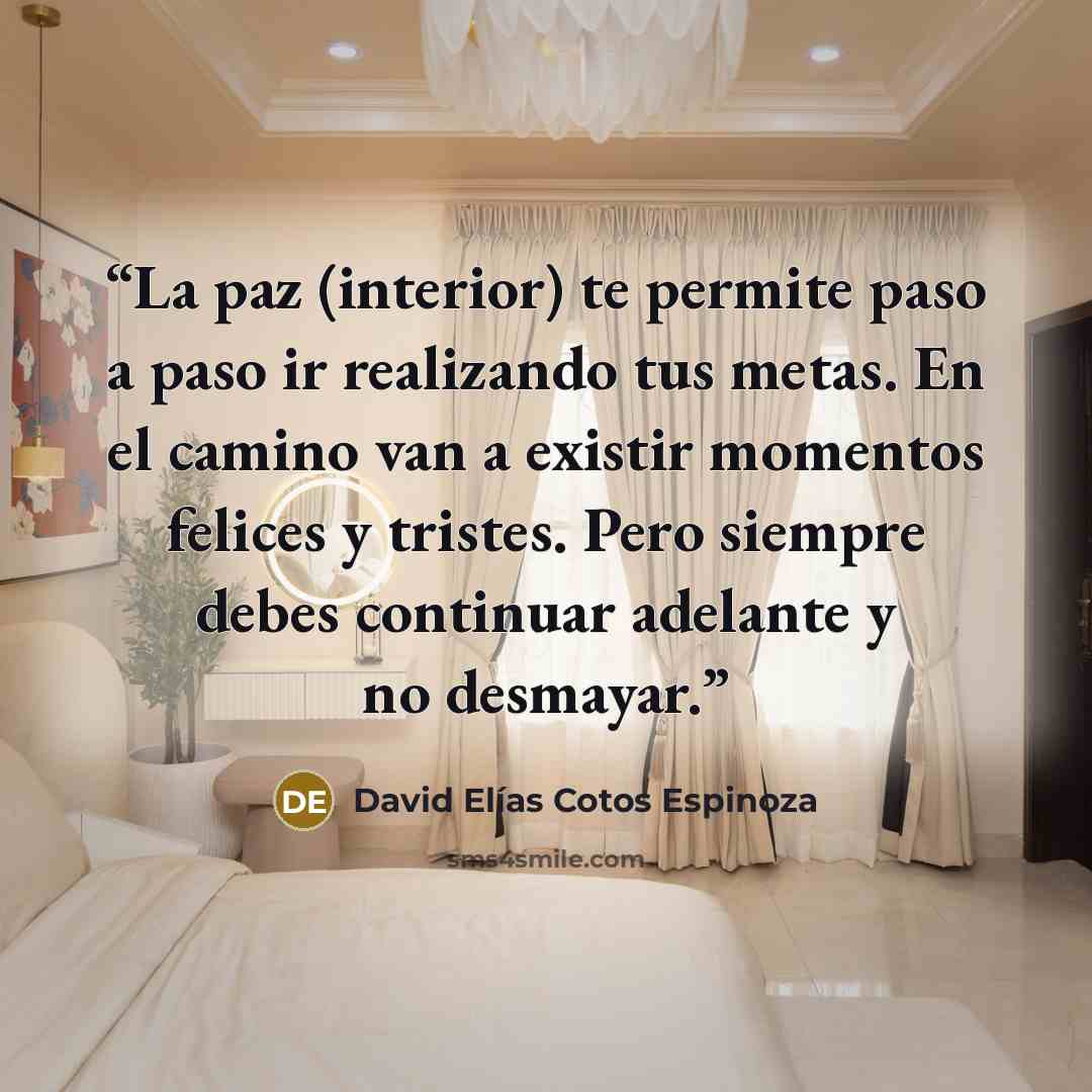 “La paz (interior) te permite paso a paso ir realizando tus metas. En el camino van a existir momentos felices y tristes. Pero siempre debes continuar adelante y no desmayar.” quote by David Elías Cotos Espinoza
