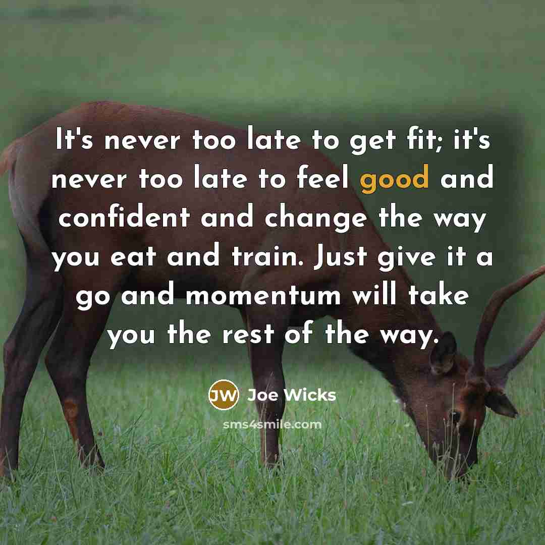 “It's never too late to get fit; it's never too late to feel good and confident and change the way you eat and train. Just give it a go and momentum will take you the rest of the way.” quote by Joe Wicks