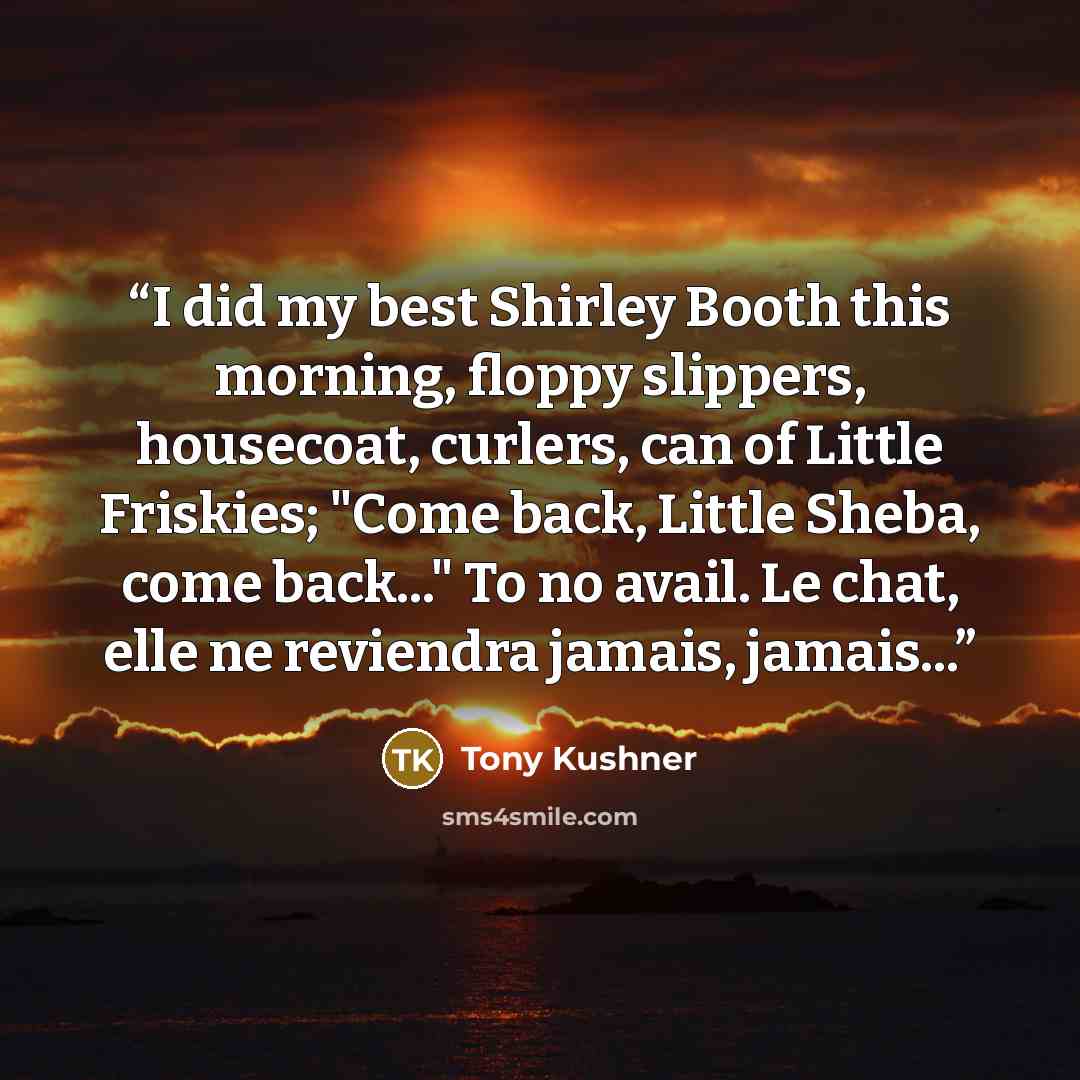 “I did my best Shirley Booth this morning, floppy slippers, housecoat, curlers, can of Little Friskies; "Come back, Little Sheba, come back..." To no avail. Le chat, elle ne reviendra jamais, jamais...” quote by Tony Kushner