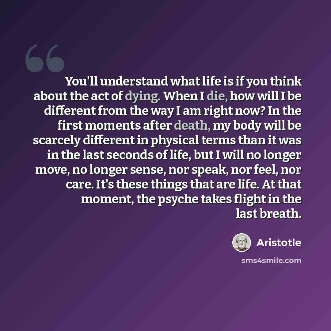 “You'll understand what life is if you think about the act of dying. When I die, how will I be different from the way I am right now? In the first moments after death, my body will be scarcely different in physical terms than it was in the last seconds of life, but I will no longer move, no longer…” quote by Aristotle