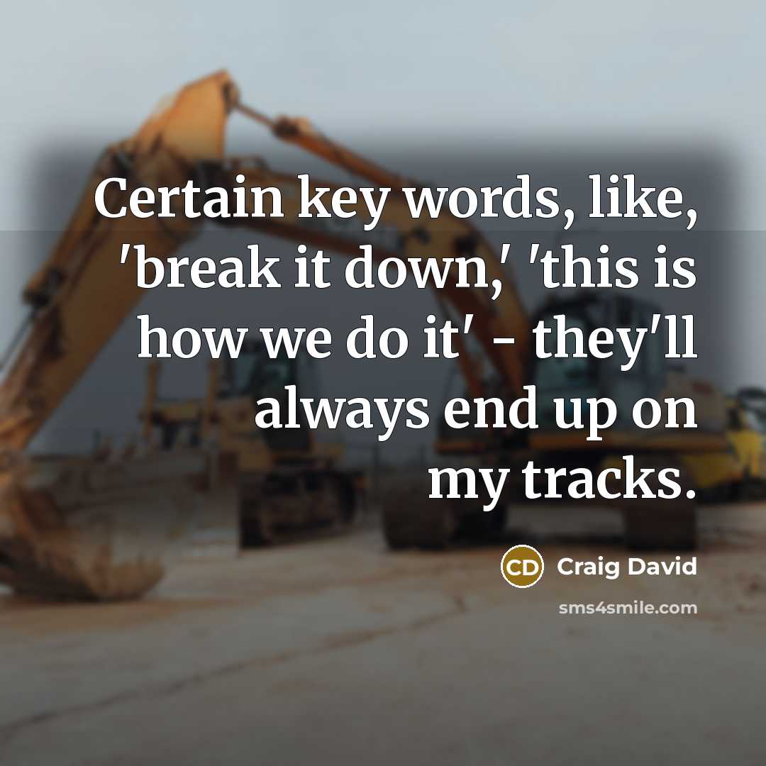 “Certain key words, like, 'break it down,' 'this is how we do it' - they'll always end up on my tracks.” quote by Craig David