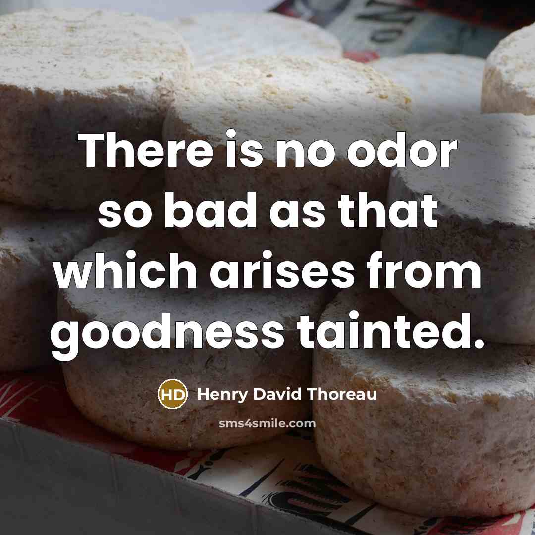 “There is no odor so bad as that which arises from goodness tainted.” quote by Henry David Thoreau