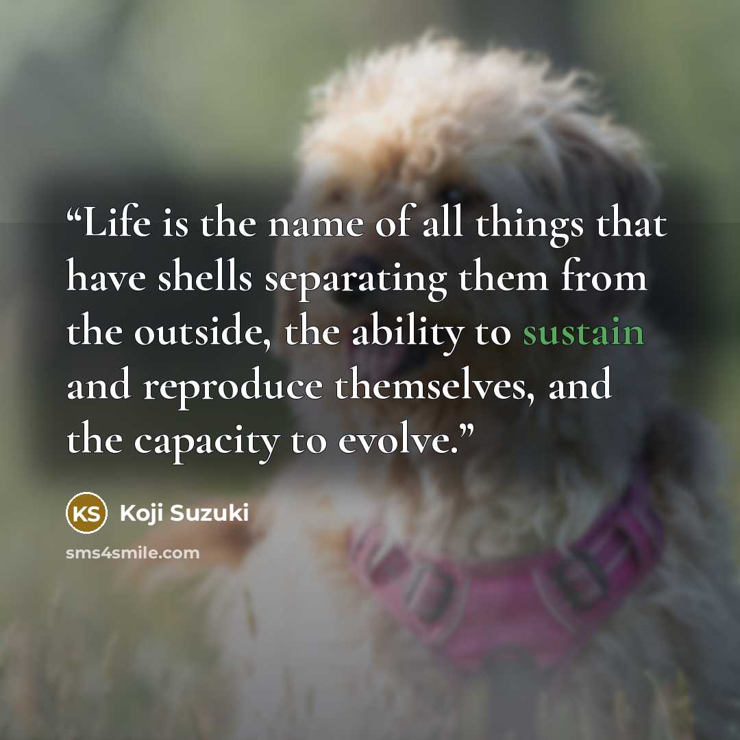 “Life is the name of all things that have shells separating them from the outside, the ability to sustain and reproduce themselves, and the capacity to evolve.” quote by Koji Suzuki