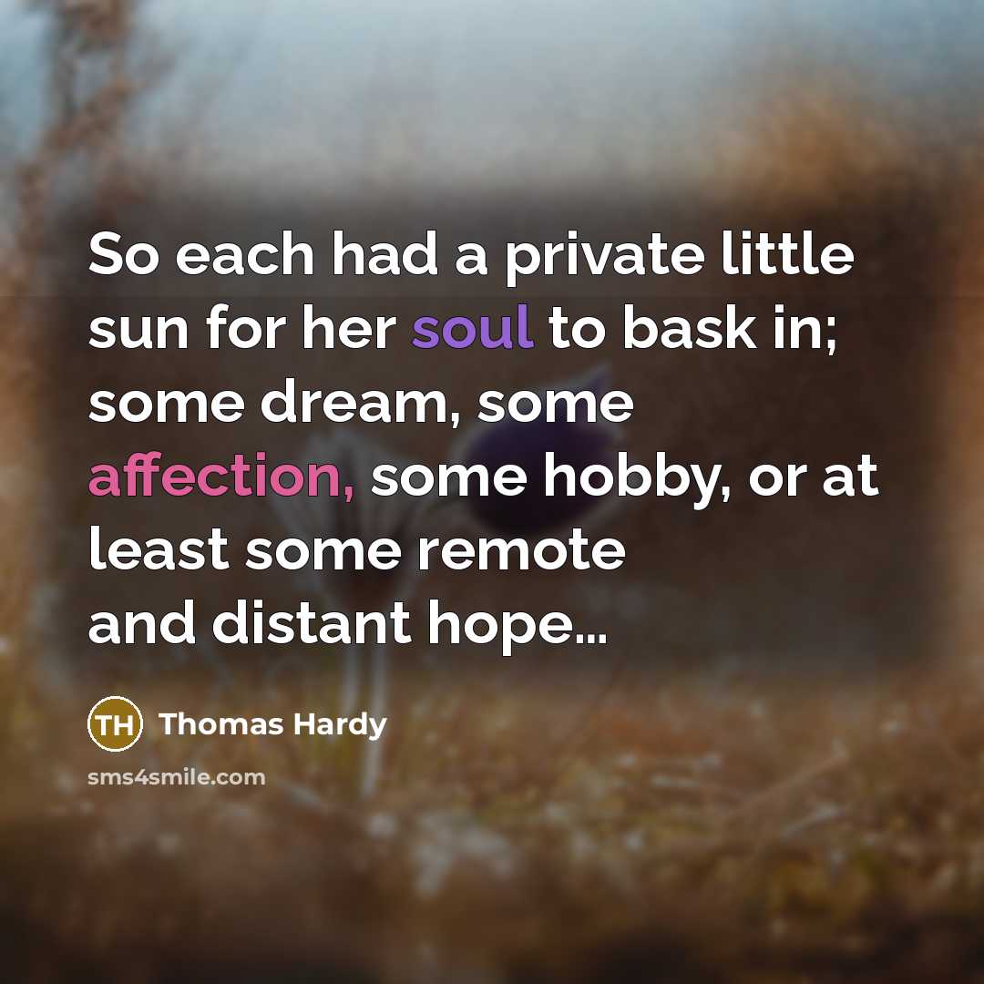 “So each had a private little sun for her soul to bask in; some dream, some affection, some hobby, or at least some remote and distant hope…” quote by Thomas Hardy