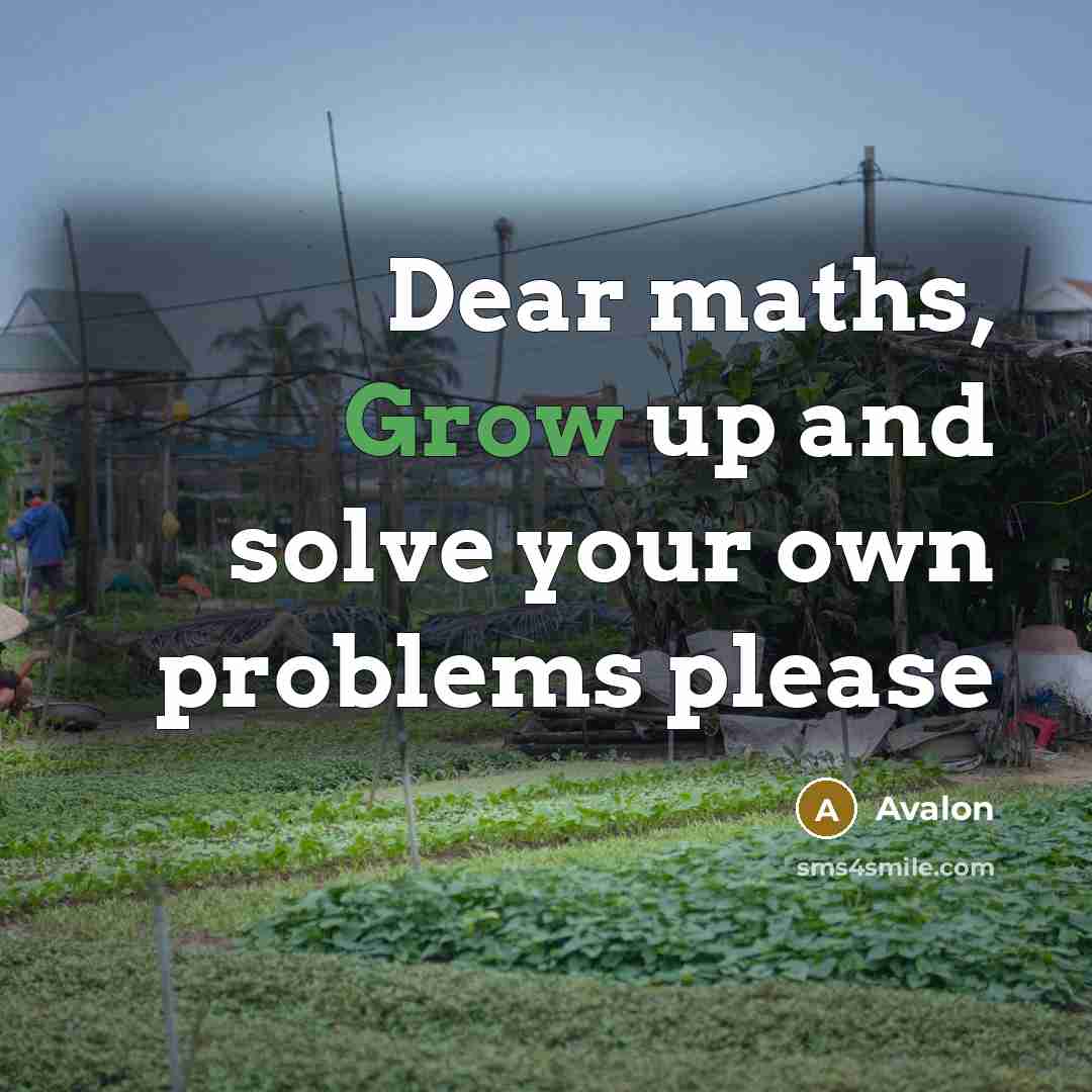 “Dear maths, Grow up and solve your own problems please” quote by Avalon