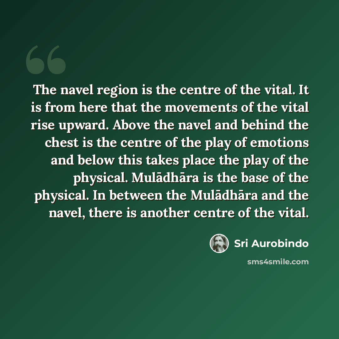 “The navel region is the centre of the vital. It is from here that the movements of the vital rise upward. Above the navel and behind the chest is the centre of the play of emotions and below this takes place the play of the physical. Mulādhāra is the base of the physical. In between the Mulādhāra…” quote by Sri Aurobindo
