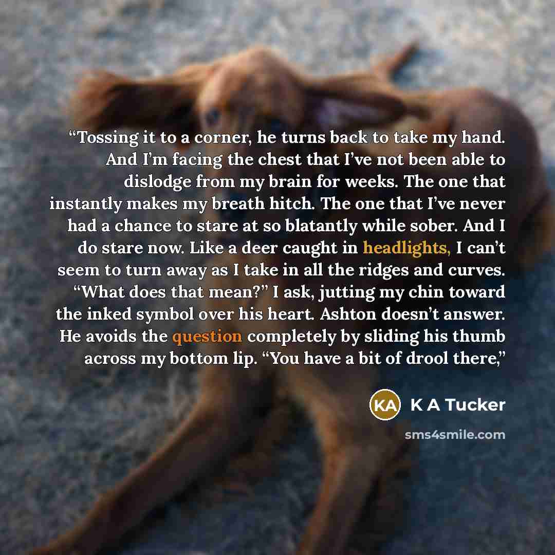 “Tossing it to a corner, he turns back to take my hand. And I’m facing the chest that I’ve not been able to dislodge from my brain for weeks. The one that instantly makes my breath hitch. The one that I’ve never had a chance to stare at so blatantly while sober. And I do stare now. Like a deer…” quote by K A Tucker