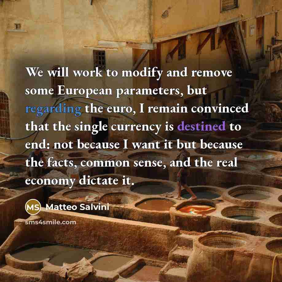 “We will work to modify and remove some European parameters, but regarding the euro, I remain convinced that the single currency is destined to end: not because I want it but because the facts, common sense, and the real economy dictate it.” quote by Matteo Salvini