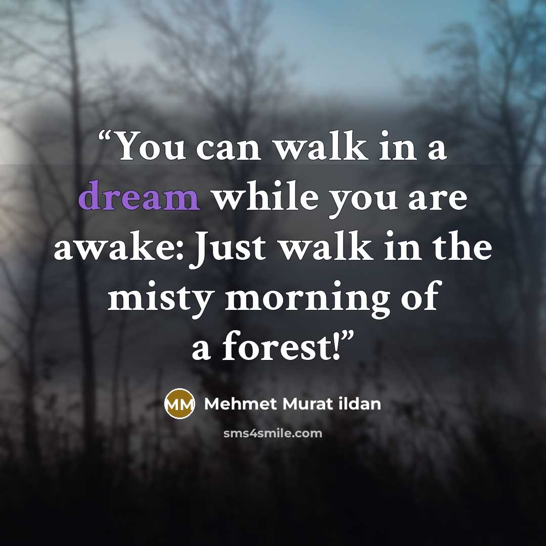 “You can walk in a dream while you are awake: Just walk in the misty morning of a forest!” quote by Mehmet Murat ildan
