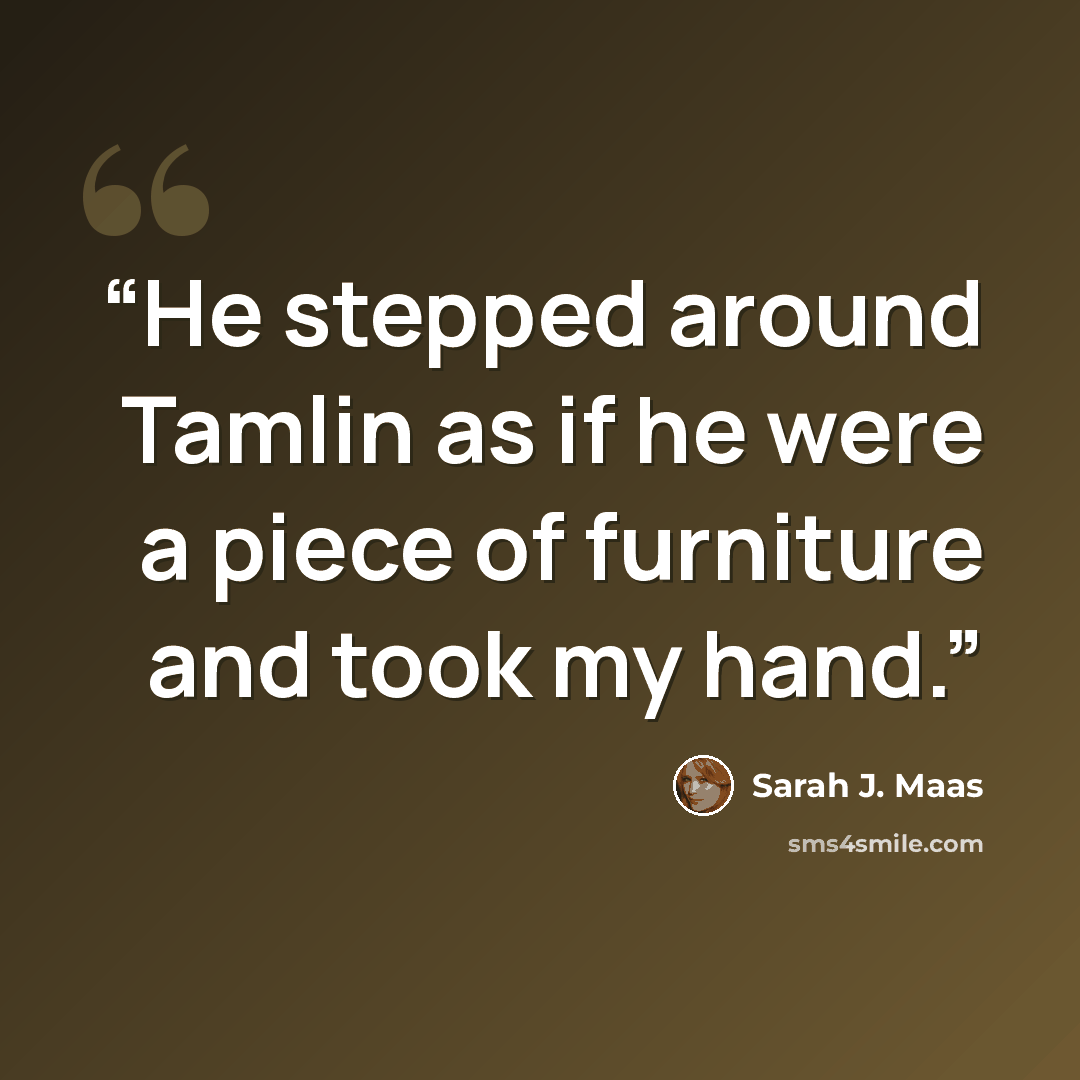 “He stepped around Tamlin as if he were a piece of furniture and took my hand.” quote by Sarah J. Maas