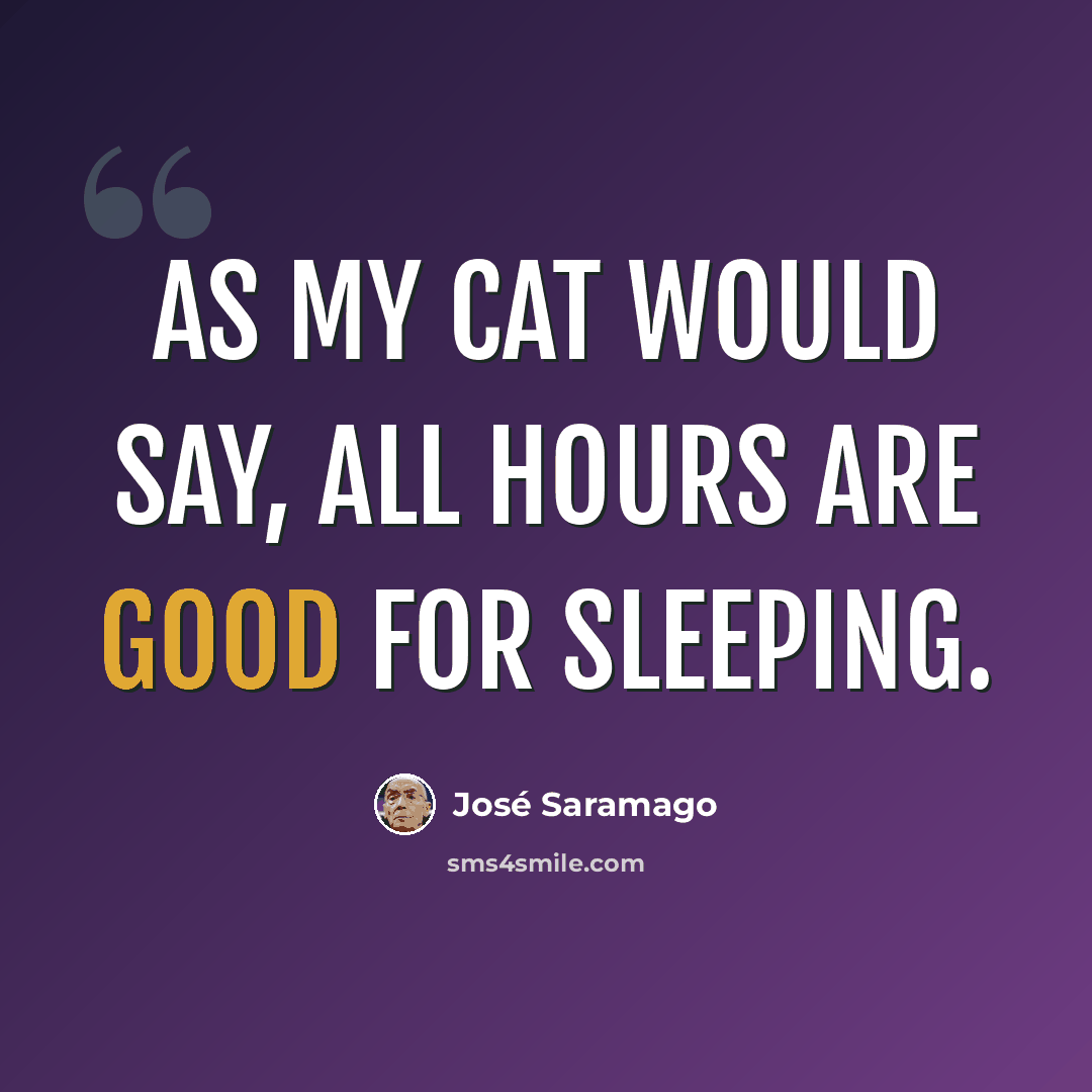 “As my cat would say, all hours are good for sleeping.” quote by Jose Saramago
