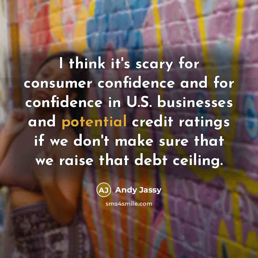 “I think it's scary for consumer confidence and for confidence in U.S. businesses and potential credit ratings if we don't make sure that we raise that debt ceiling.” quote by Andy Jassy