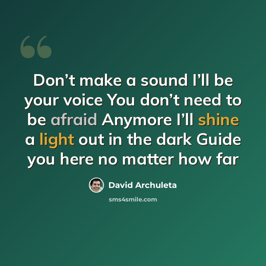 “Don’t make a sound I’ll be your voice You don’t need to be afraid Anymore I’ll shine a light out in the dark Guide you here no matter how far” quote by David Archuleta