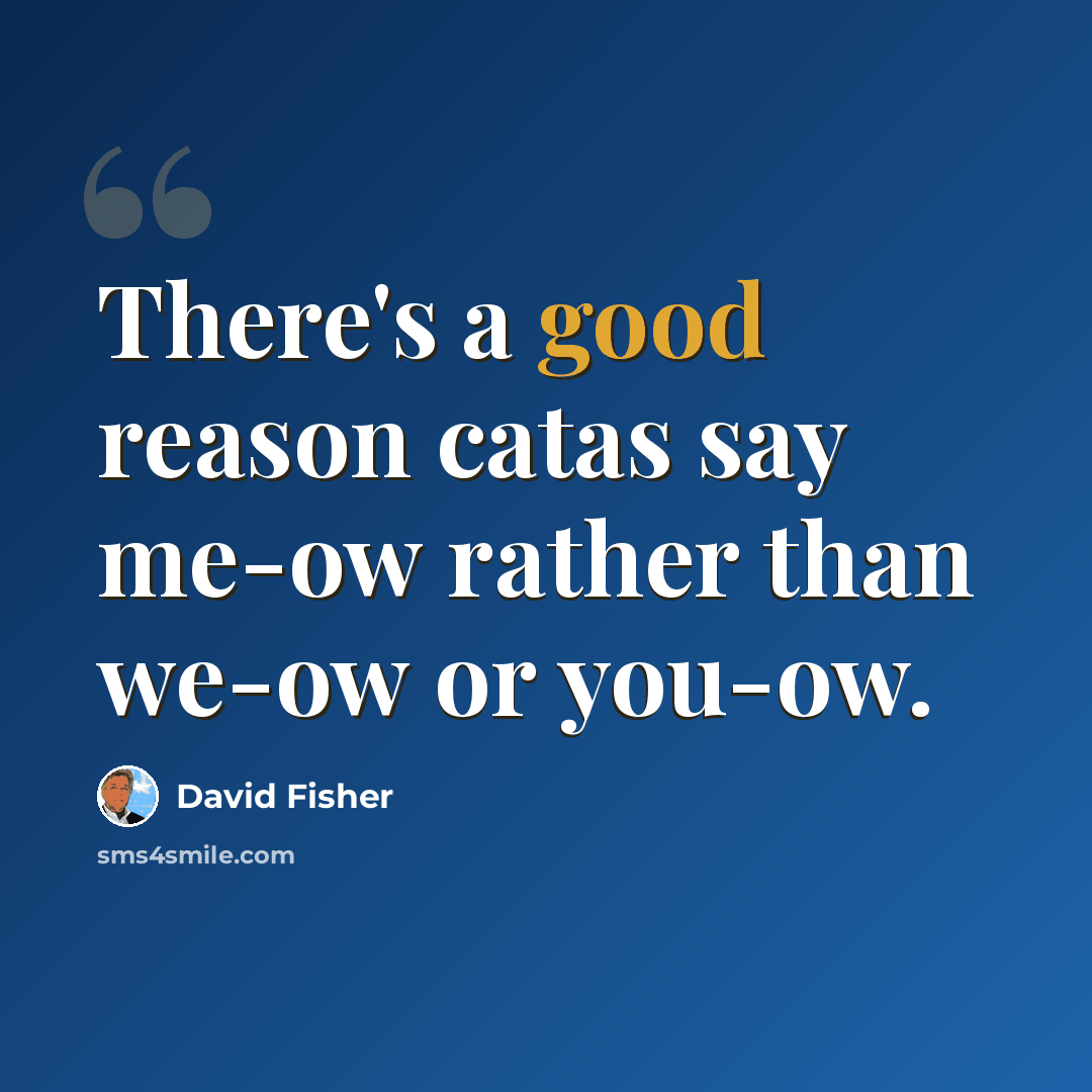 “There's a good reason catas say me-ow rather than we-ow or you-ow.” quote by David Fisher