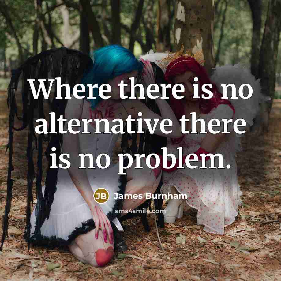 “Where there is no alternative there is no problem.” quote by James Burnham