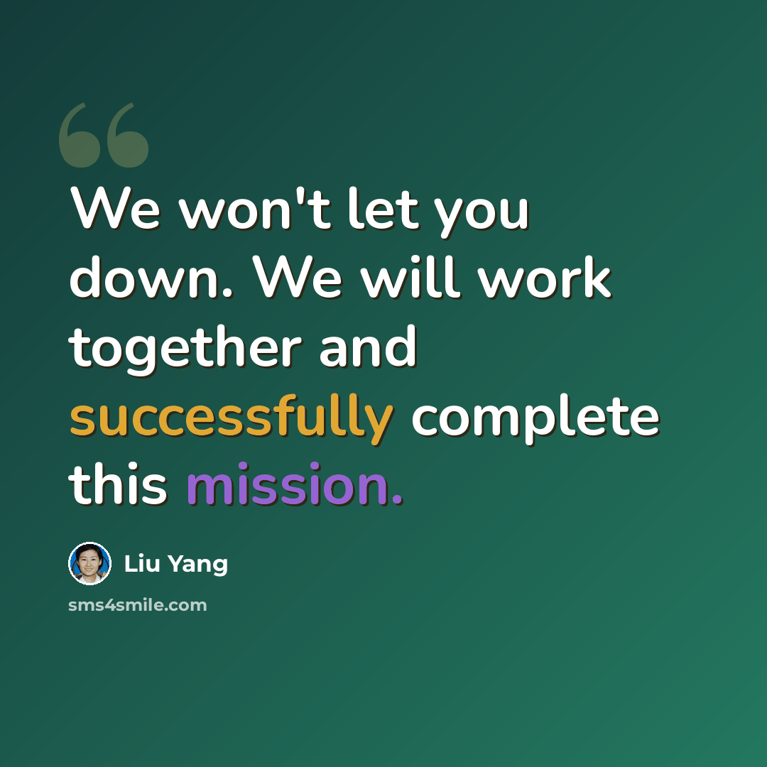 “We won't let you down. We will work together and successfully complete this mission.” quote by Liu Yang