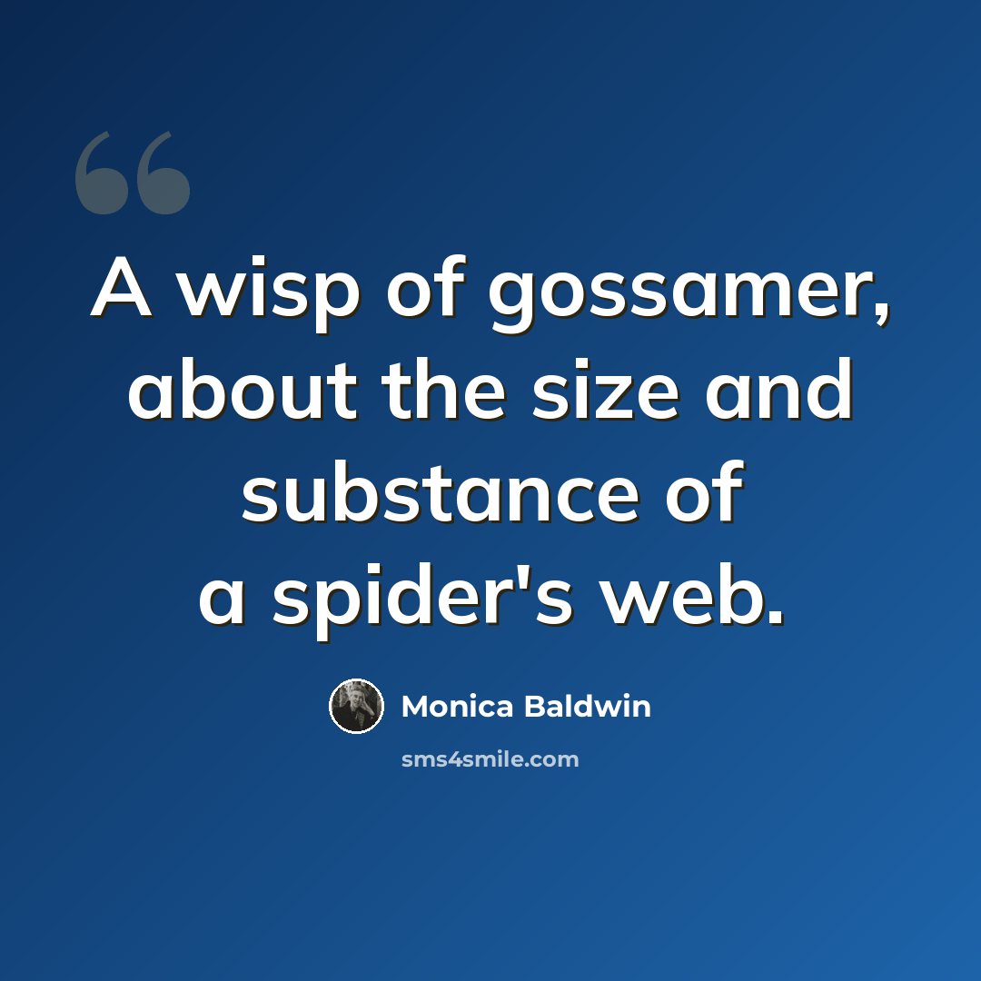“A wisp of gossamer, about the size and substance of a spider's web.” quote by Monica Baldwin
